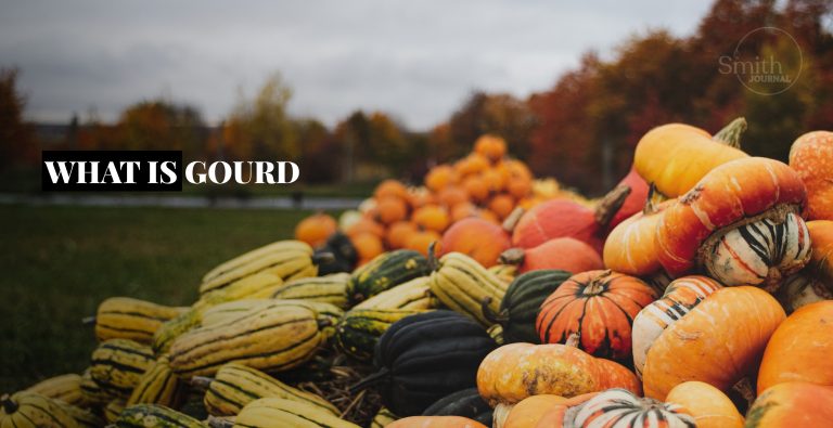 WHAT IS GOURD?