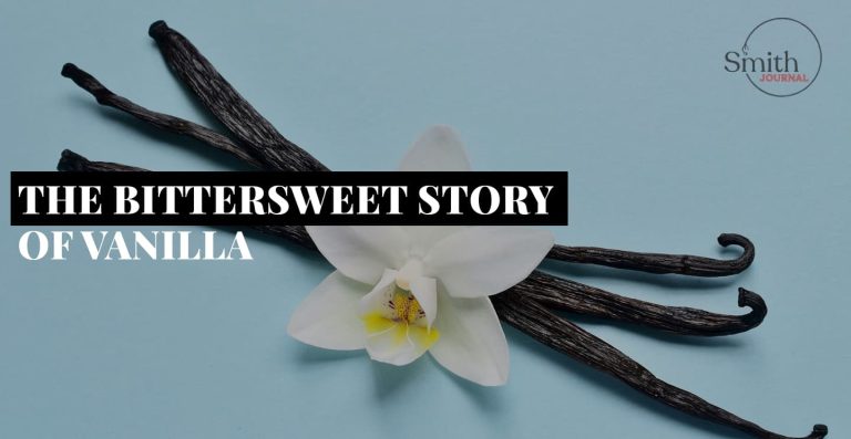 THE BITTERSWEET STORY OF VANILLA